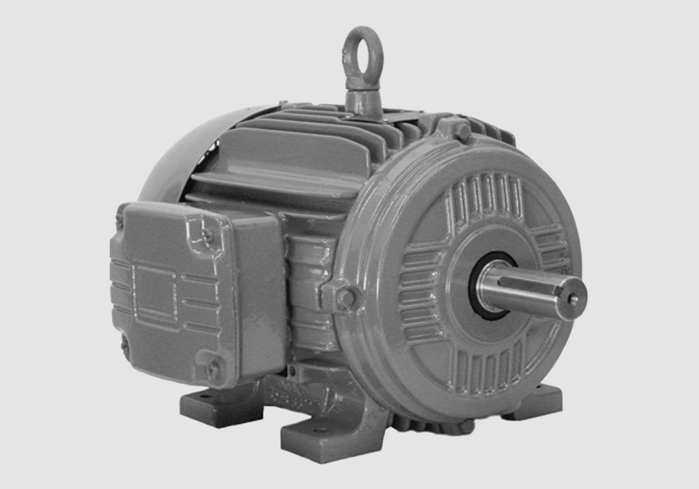 Photo of aCooling Tower Duty Motor